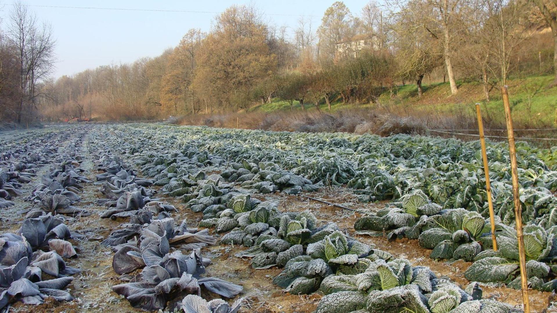 Agriturismo Cascina Degli Ulivi 노비리구레 외부 사진