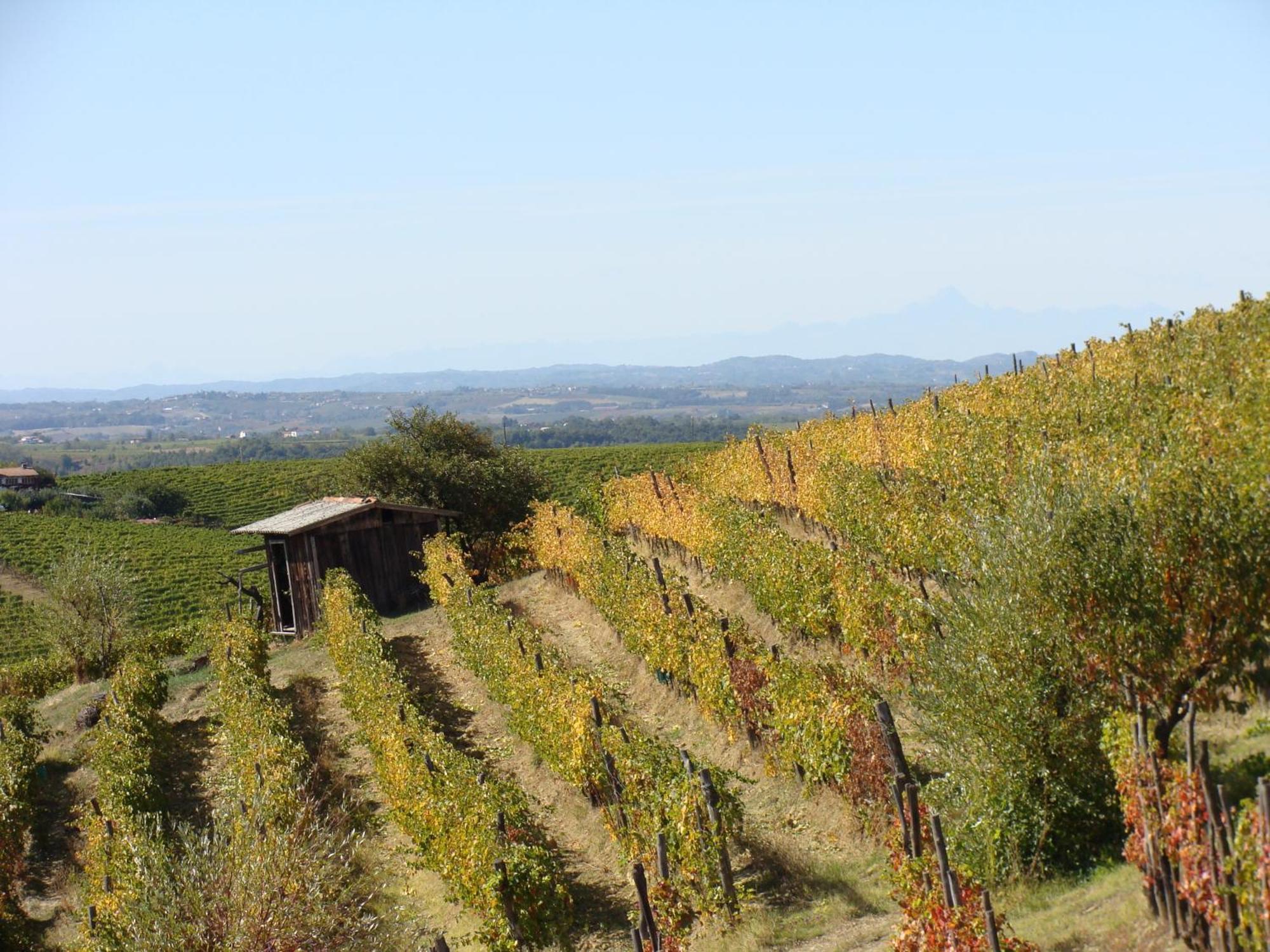 Agriturismo Cascina Degli Ulivi 노비리구레 외부 사진