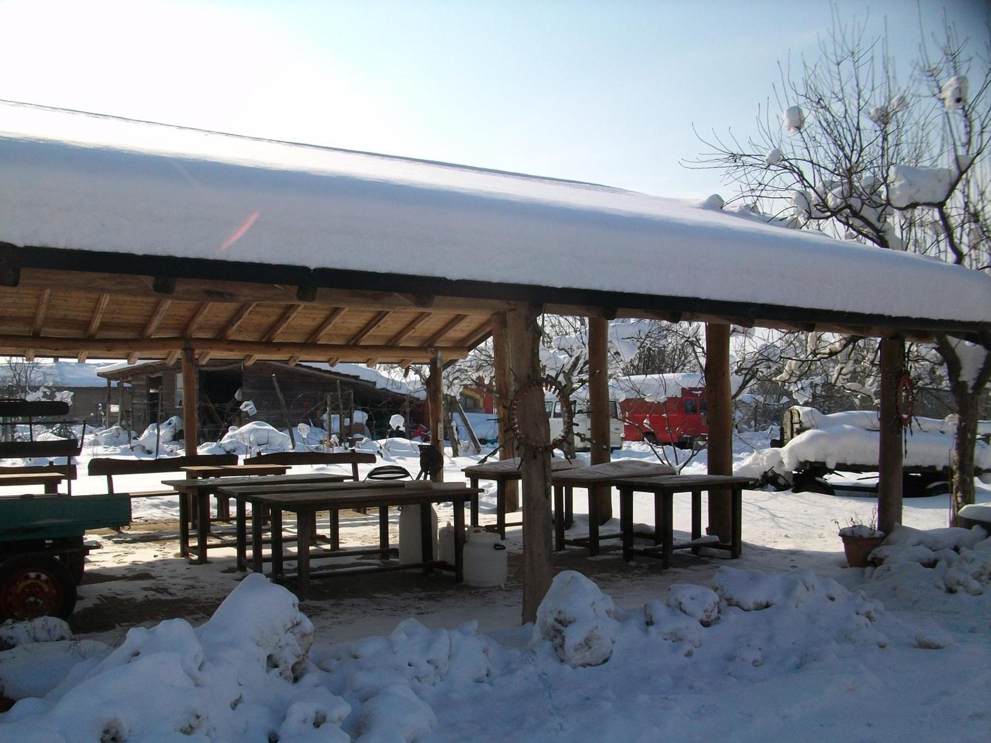 Agriturismo Cascina Degli Ulivi 노비리구레 외부 사진