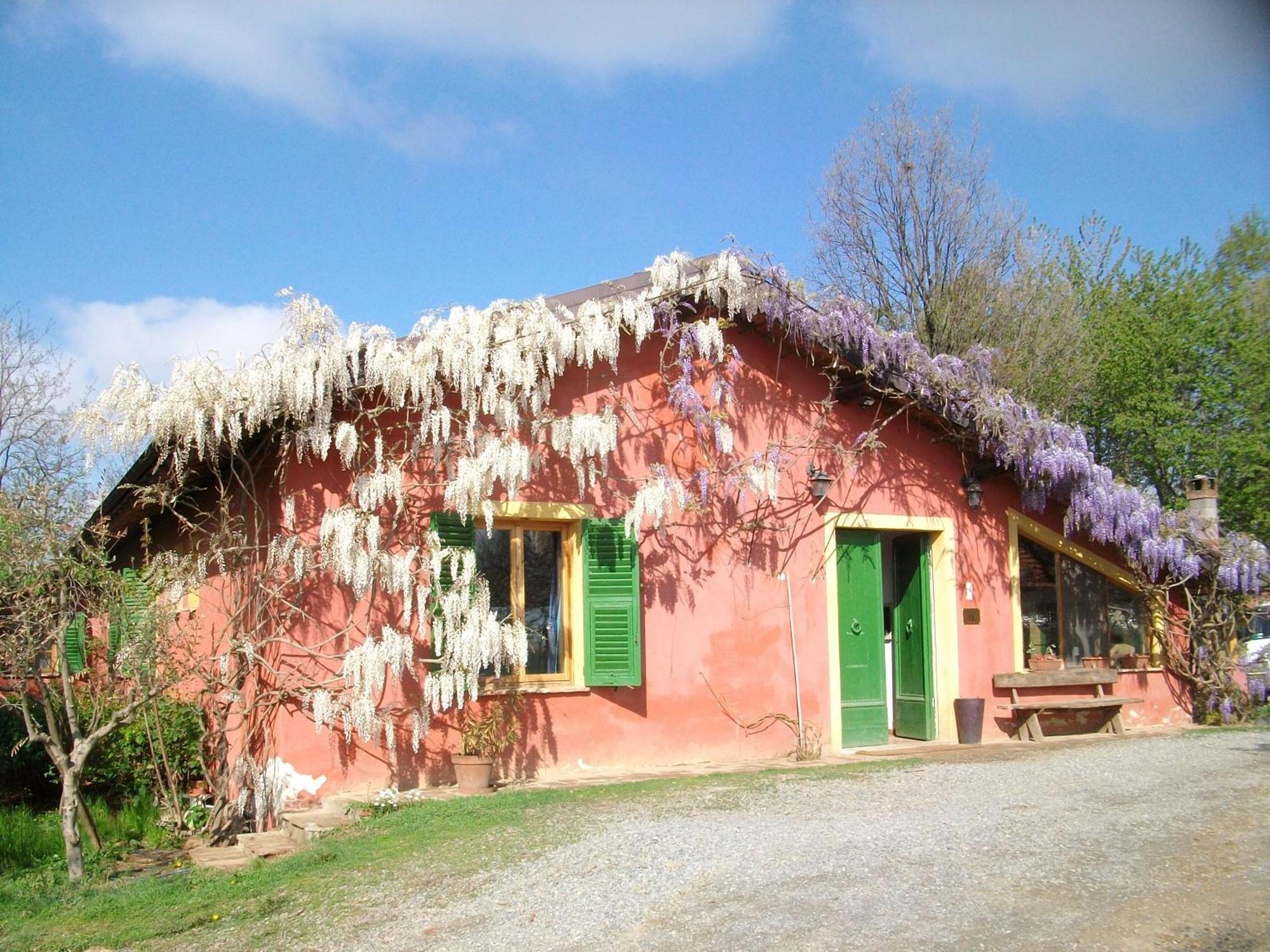 Agriturismo Cascina Degli Ulivi 노비리구레 외부 사진