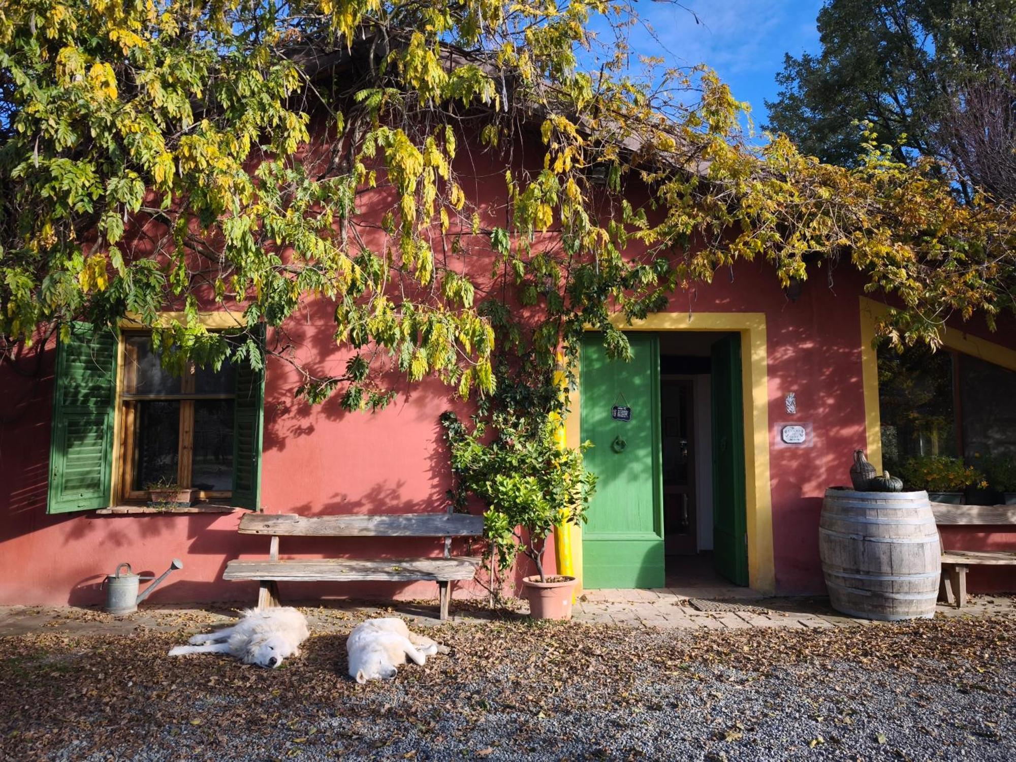 Agriturismo Cascina Degli Ulivi 노비리구레 외부 사진