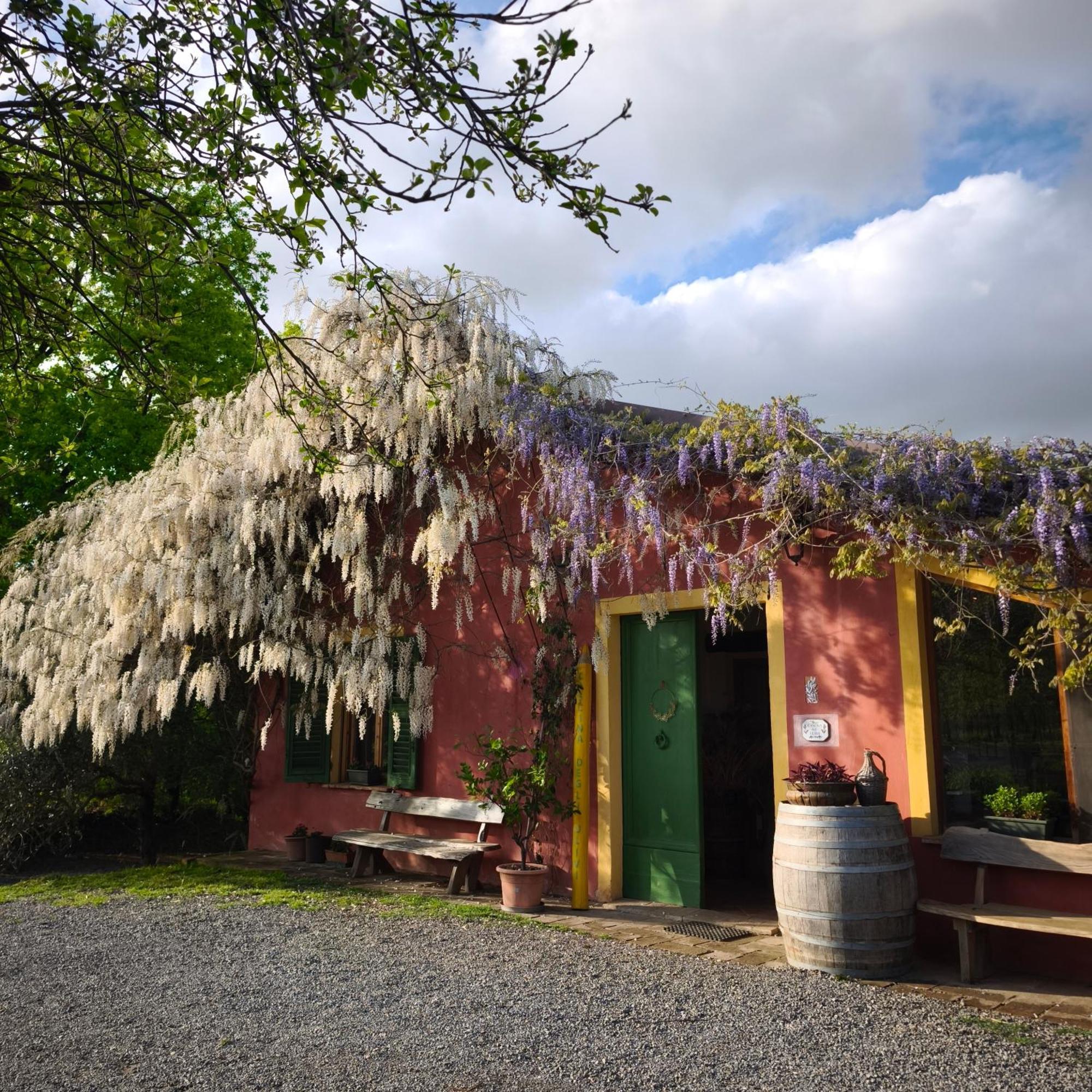 Agriturismo Cascina Degli Ulivi 노비리구레 외부 사진